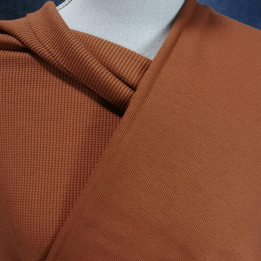 Organic Cotton 2×2 Rib, Allspice