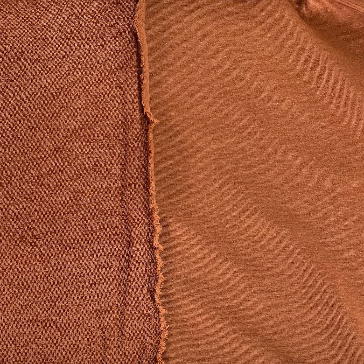 TENCEL™ Lyocell Organic Cotton French Terry - Allspice