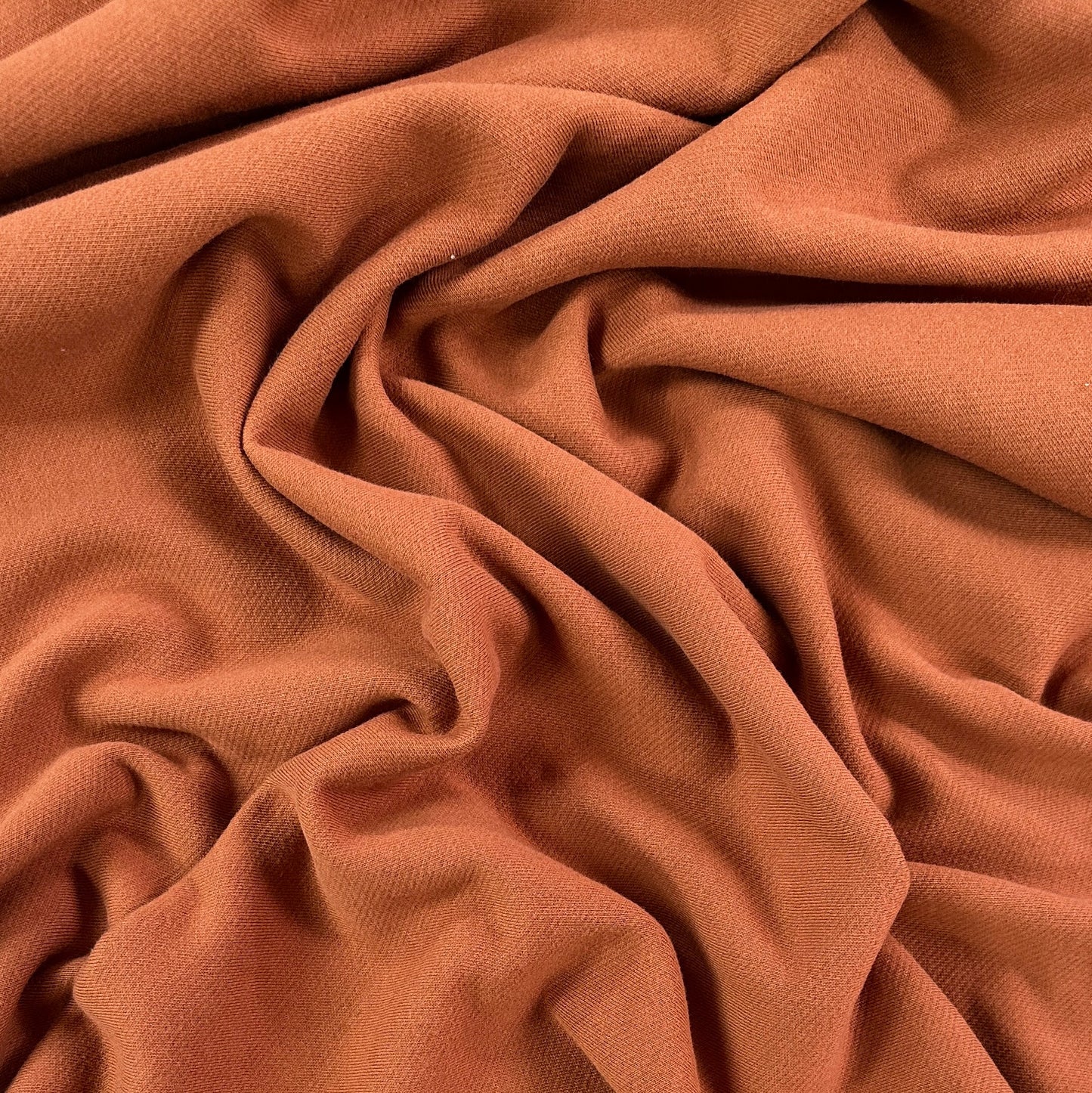 Organic Cotton Twill Face Fleece Knit - Allspice